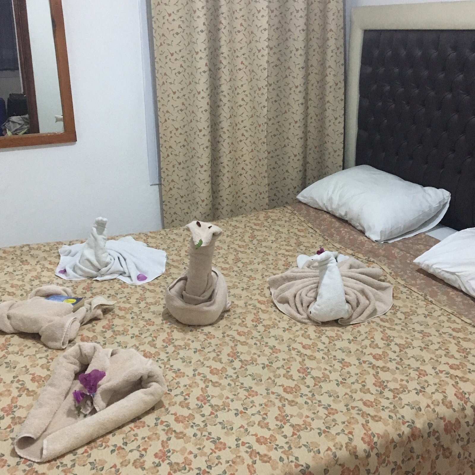 RED Hotel photo 18