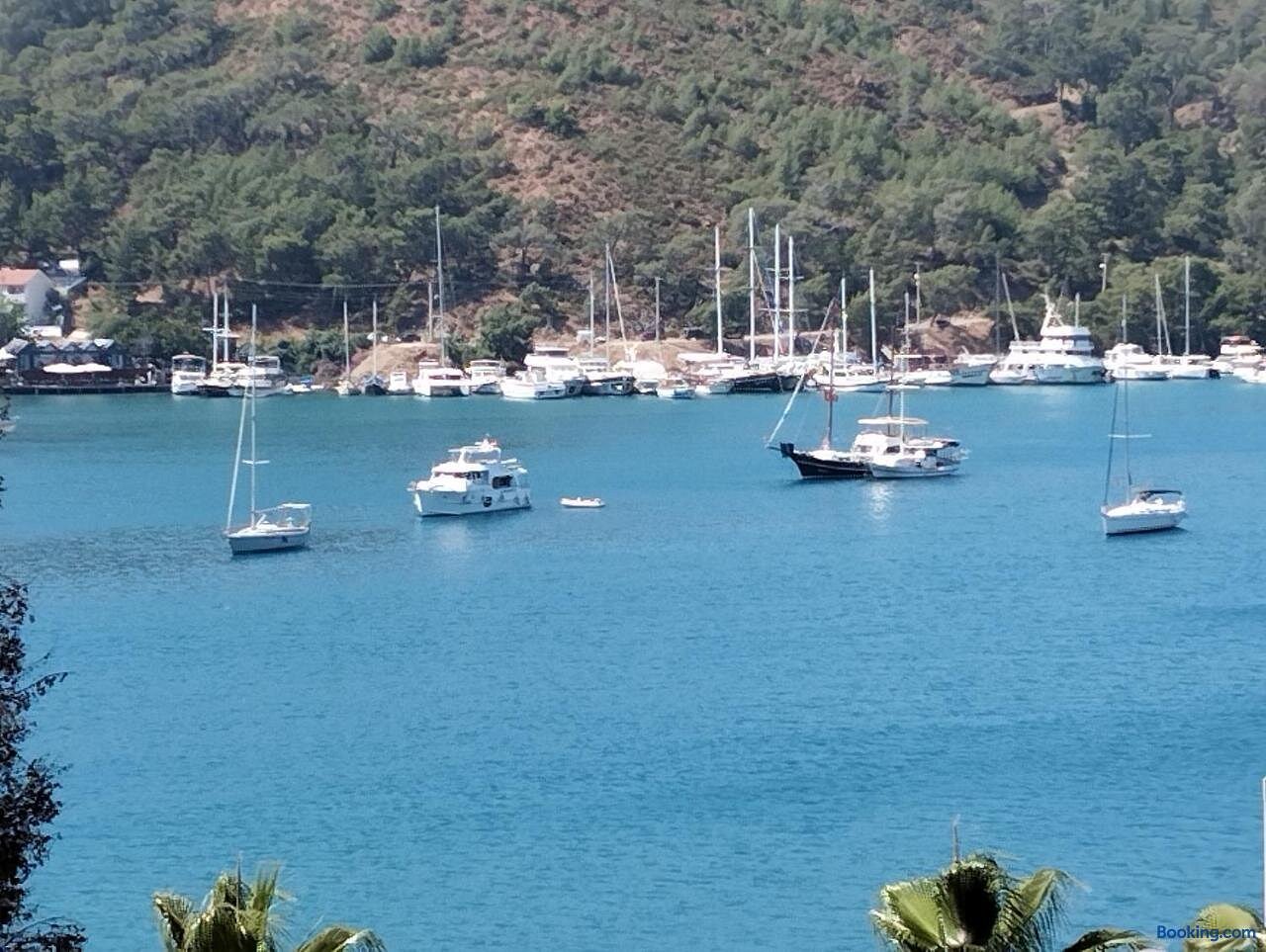 Duygu Apart photo 2