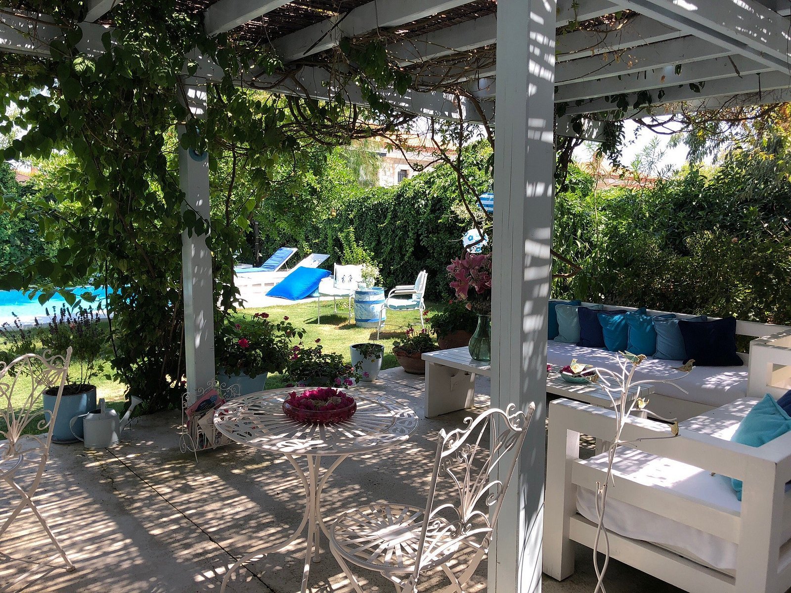 Alura Boutique Hotel photo 6