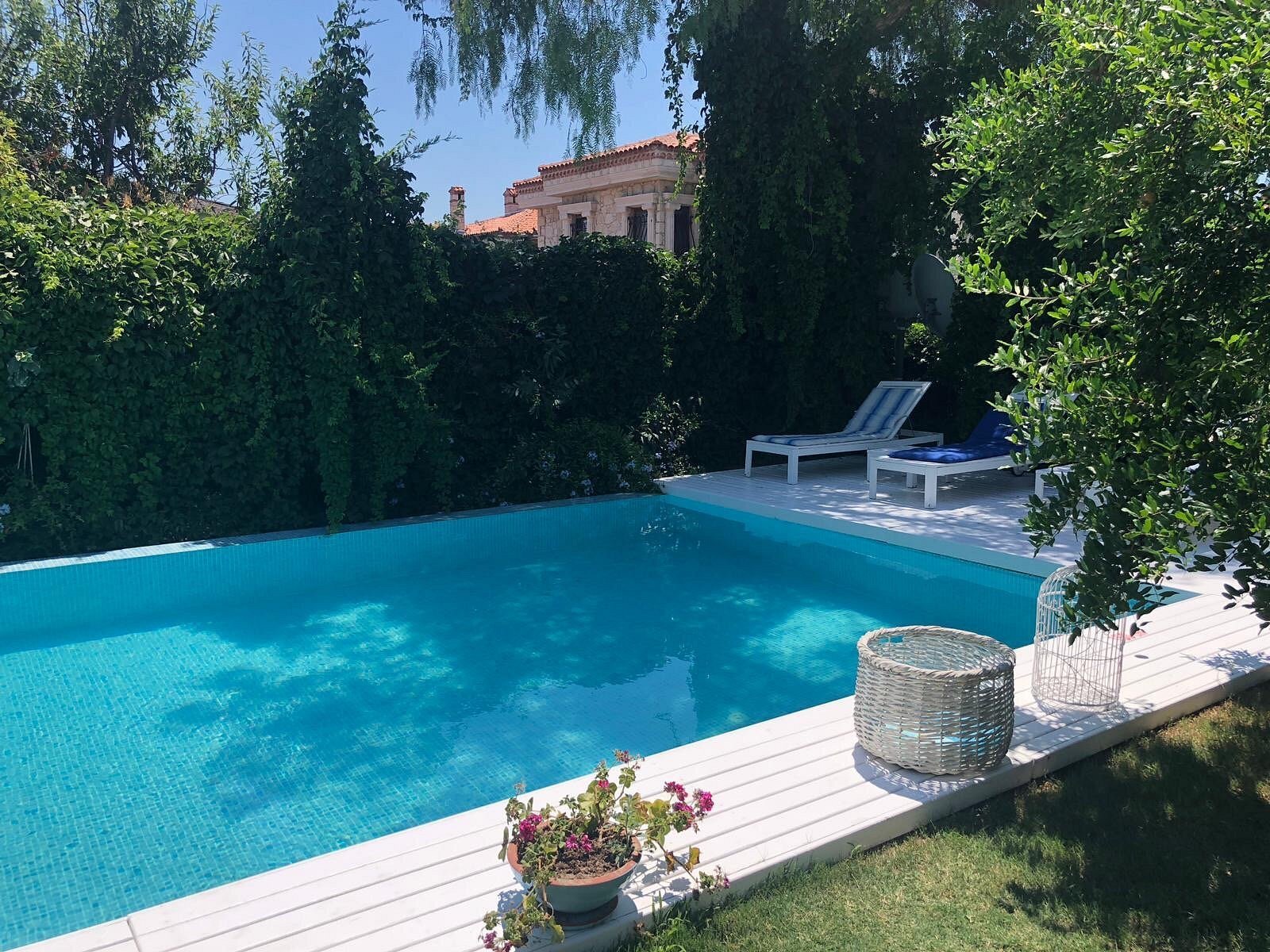 Alura Boutique Hotel photo 15