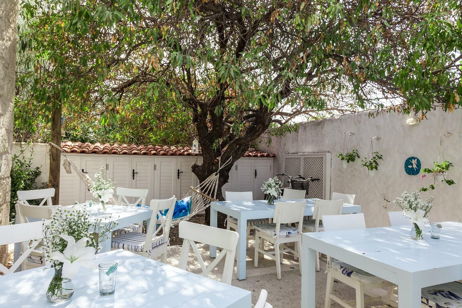 Alura Boutique Hotel photo 8