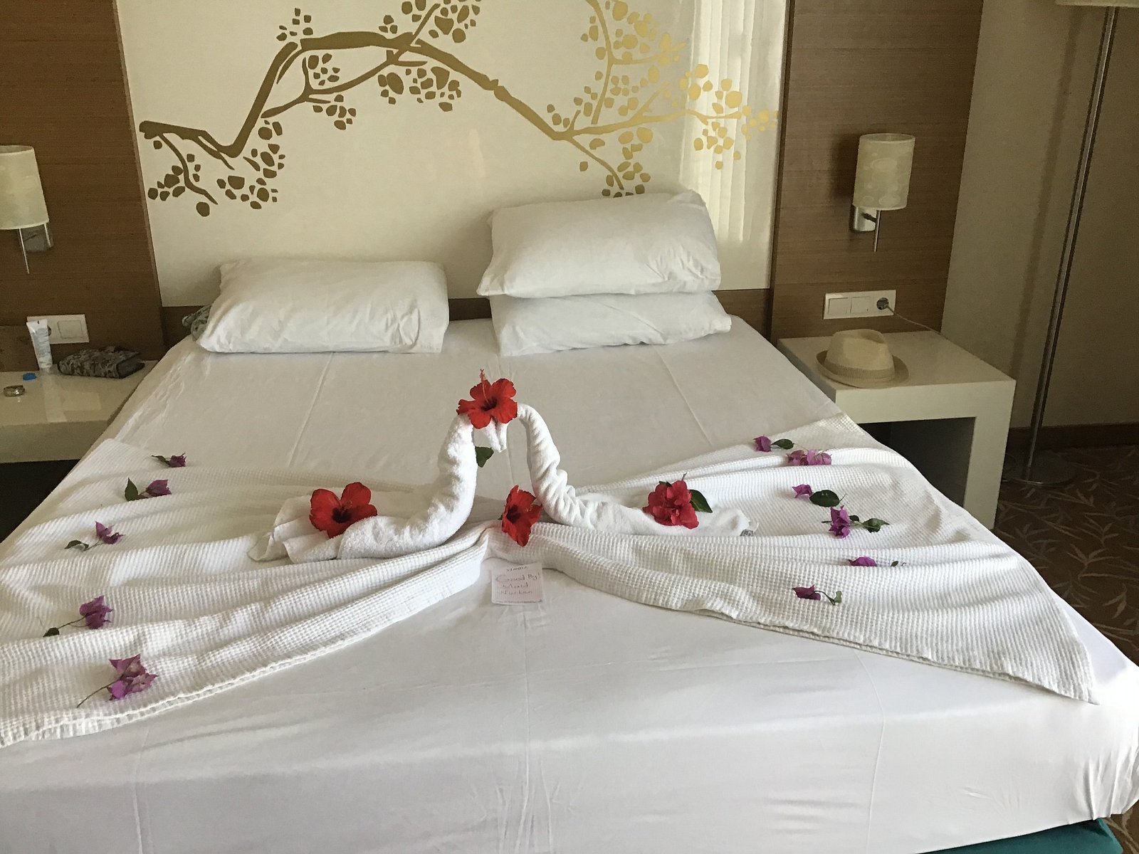 Venosa Beach Resort ex. Palm Wings Beach Resort photo 20