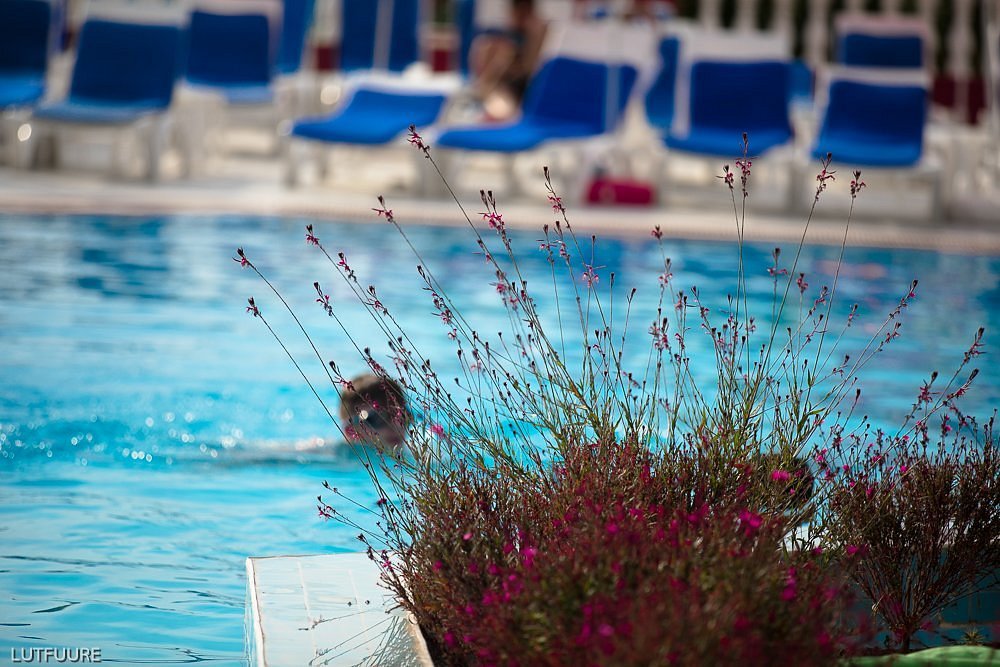 Sunshine Holiday Resort photo 9