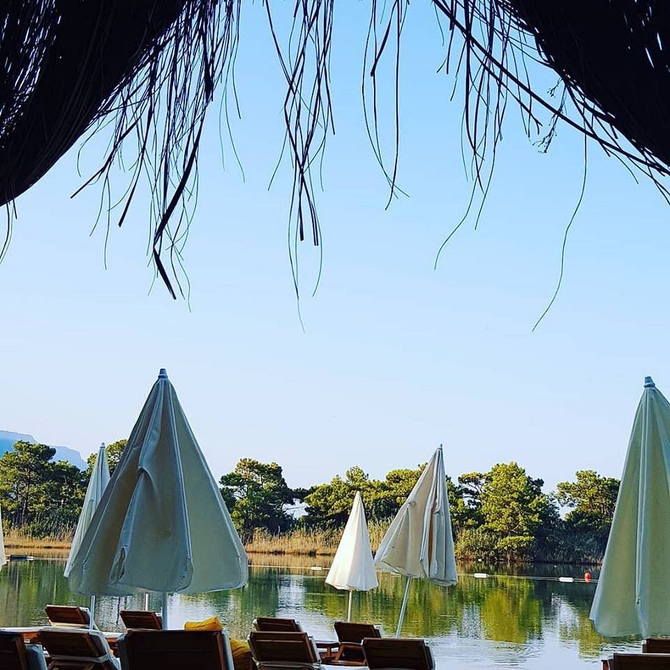 Green Pine Beach & Bungalows photo 8
