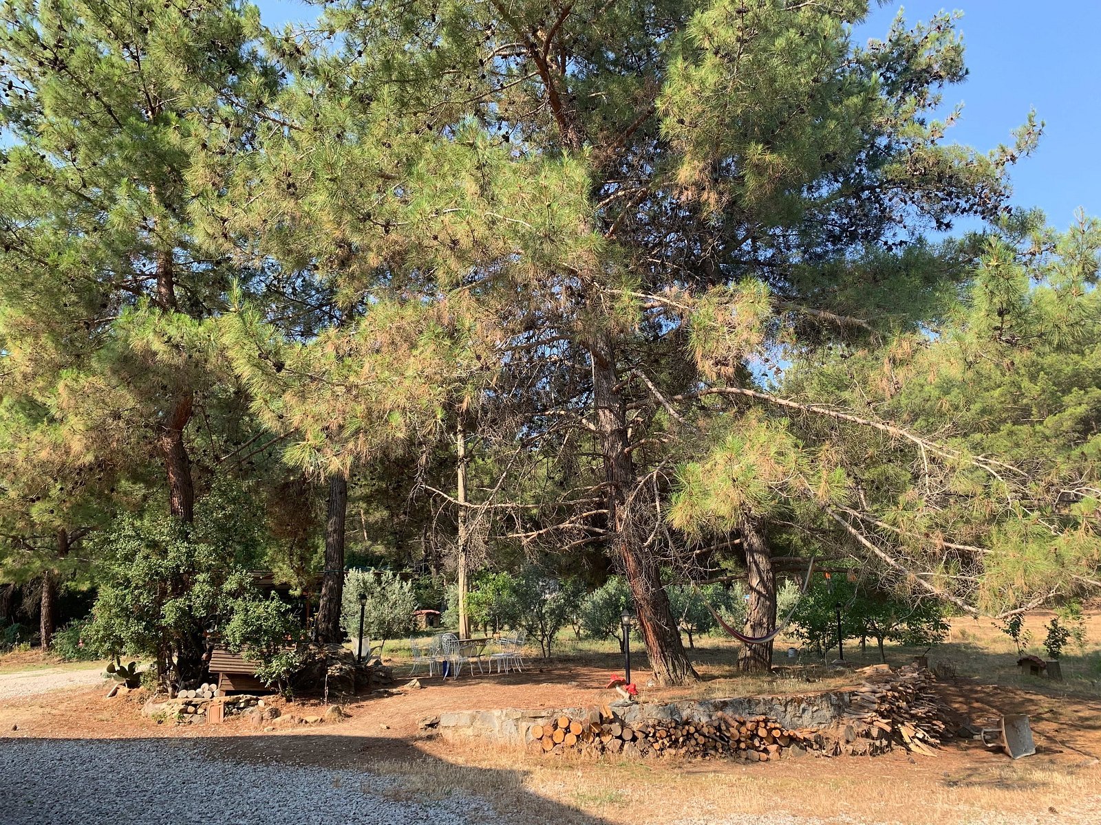 Dikencik Evleri photo 4