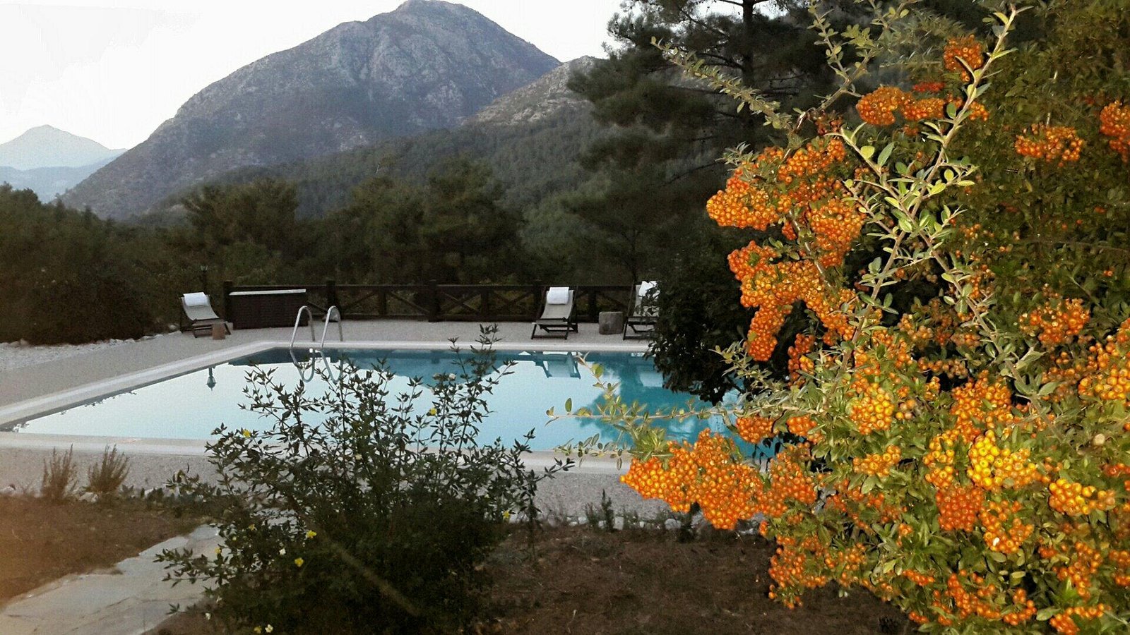 Dikencik Evleri photo 13