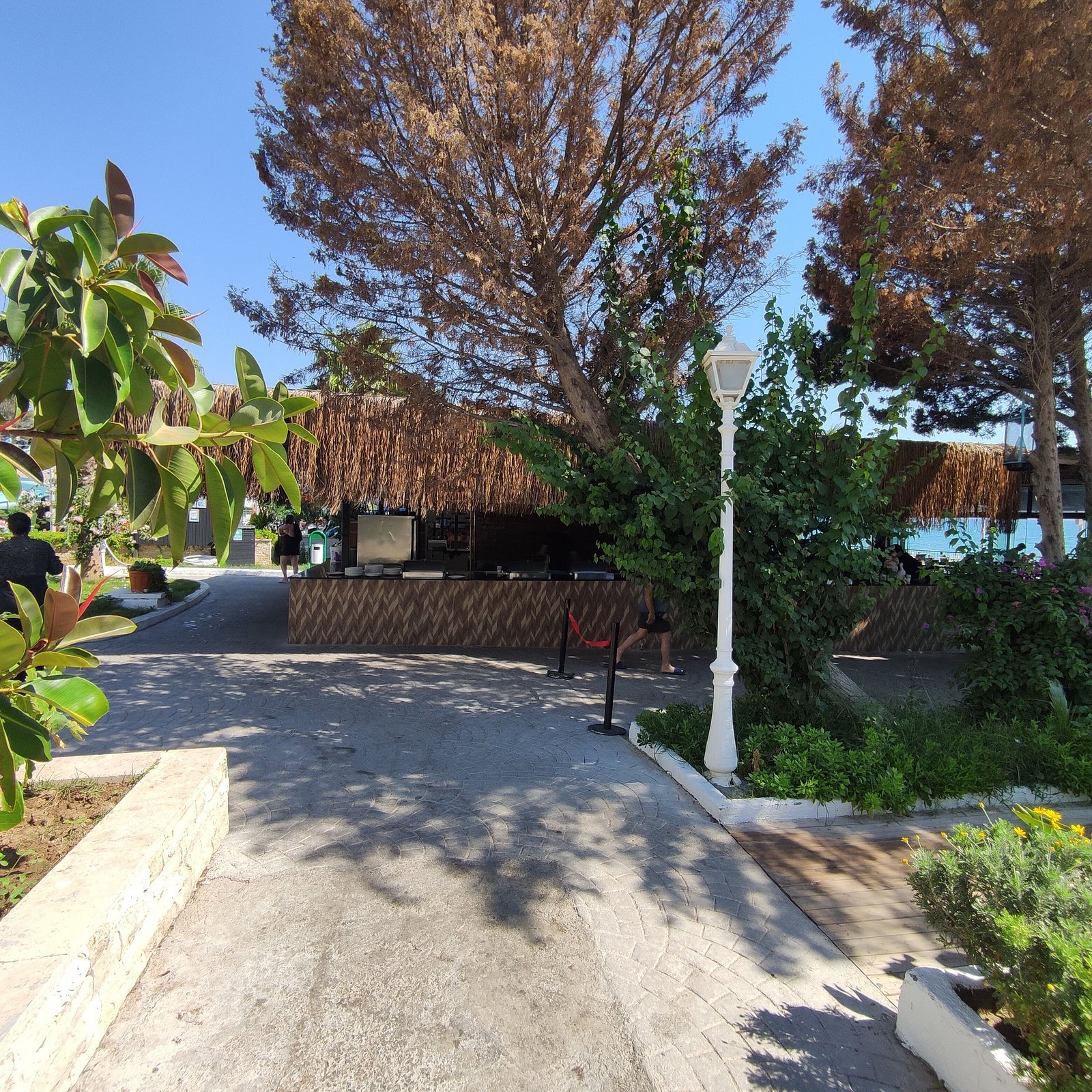 Maya World Didyma Hotel photo 3