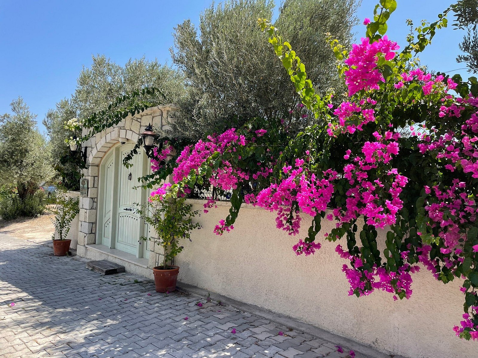 Duman Boutique Hotel Çeşme photo 4