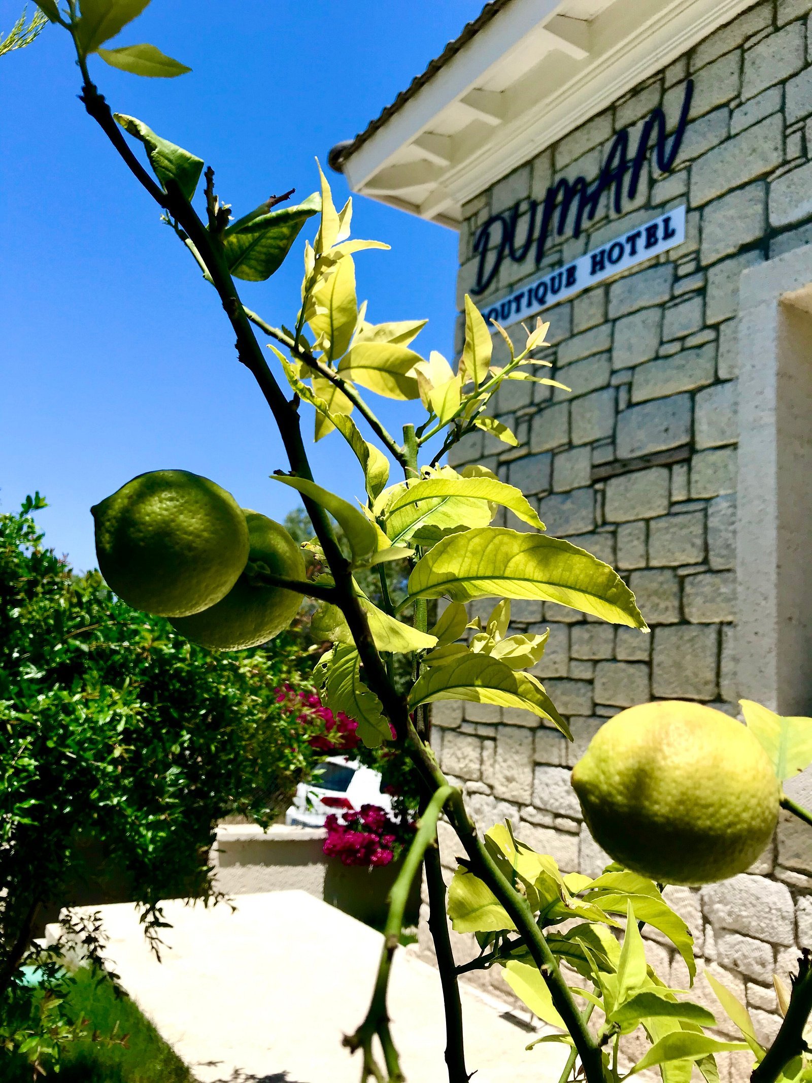 Duman Boutique Hotel Çeşme photo 2