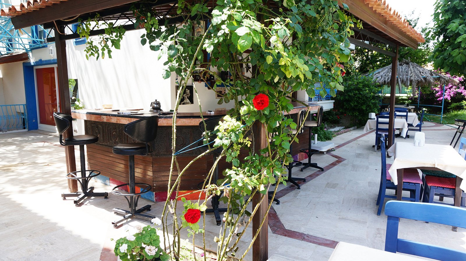 Koz Marigold Suites & Apartments photo 7