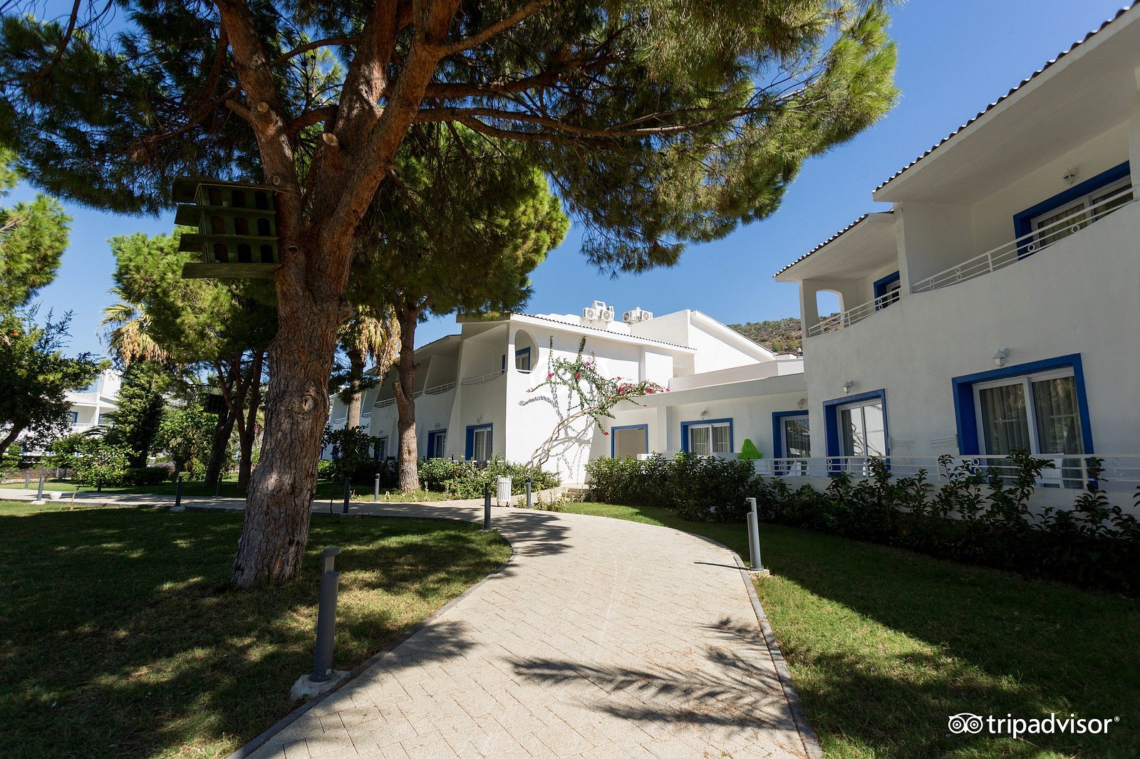 Labranda TMT Bodrum photo 2