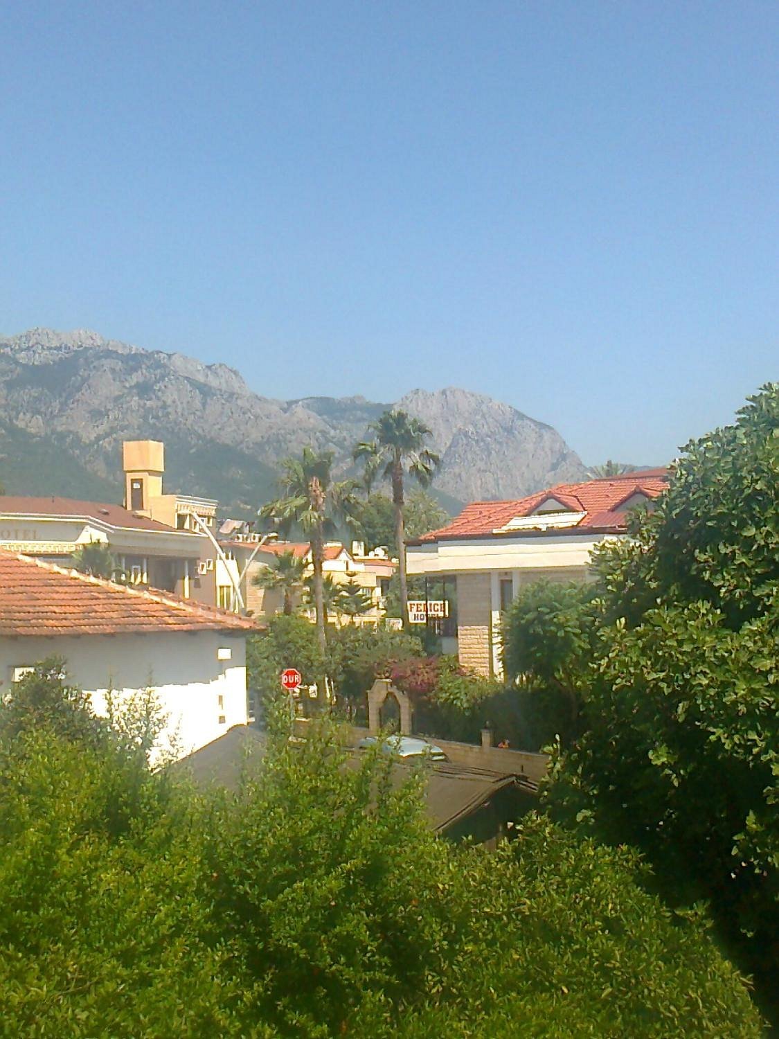 Orange Garden Apart Hotel photo 3