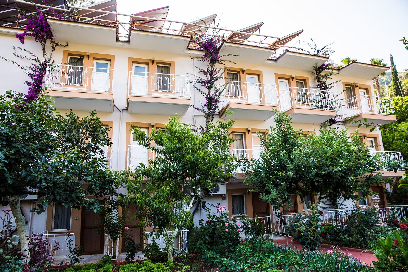 Oludeniz Manzara Hotel photo 2