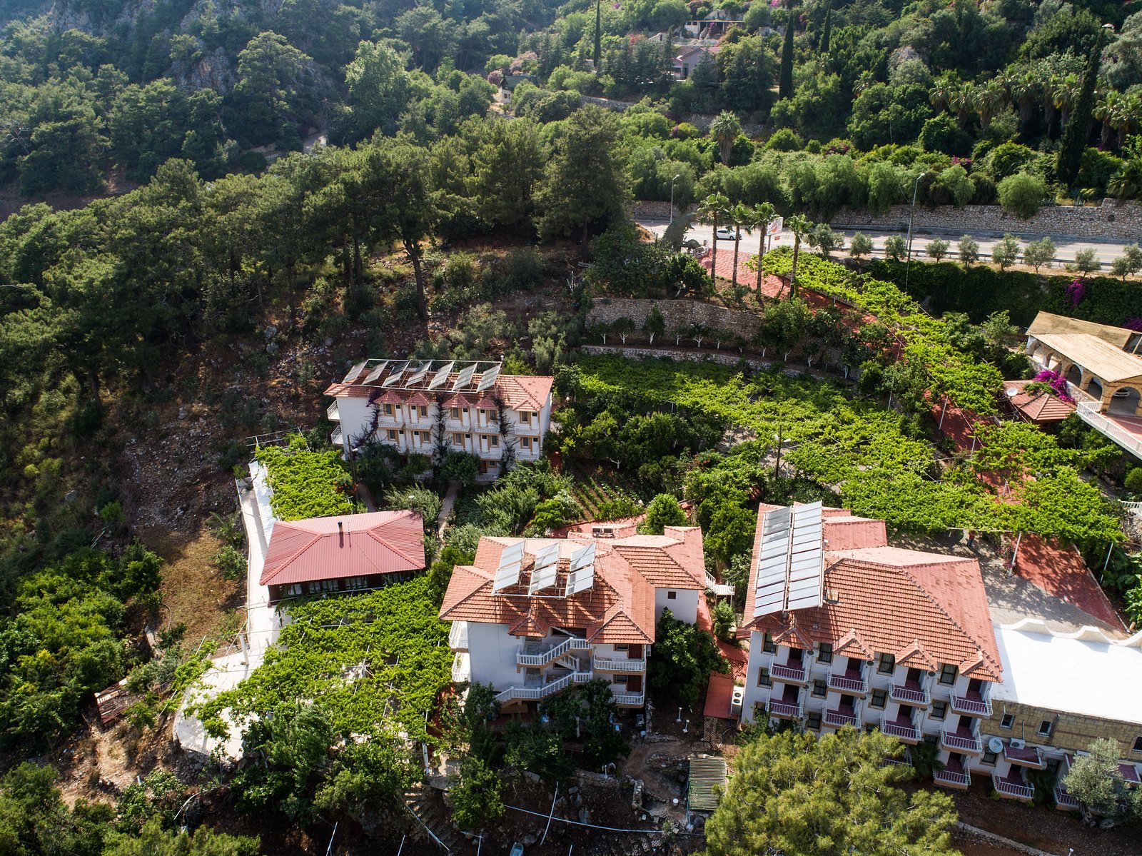 Oludeniz Manzara Hotel photo 3