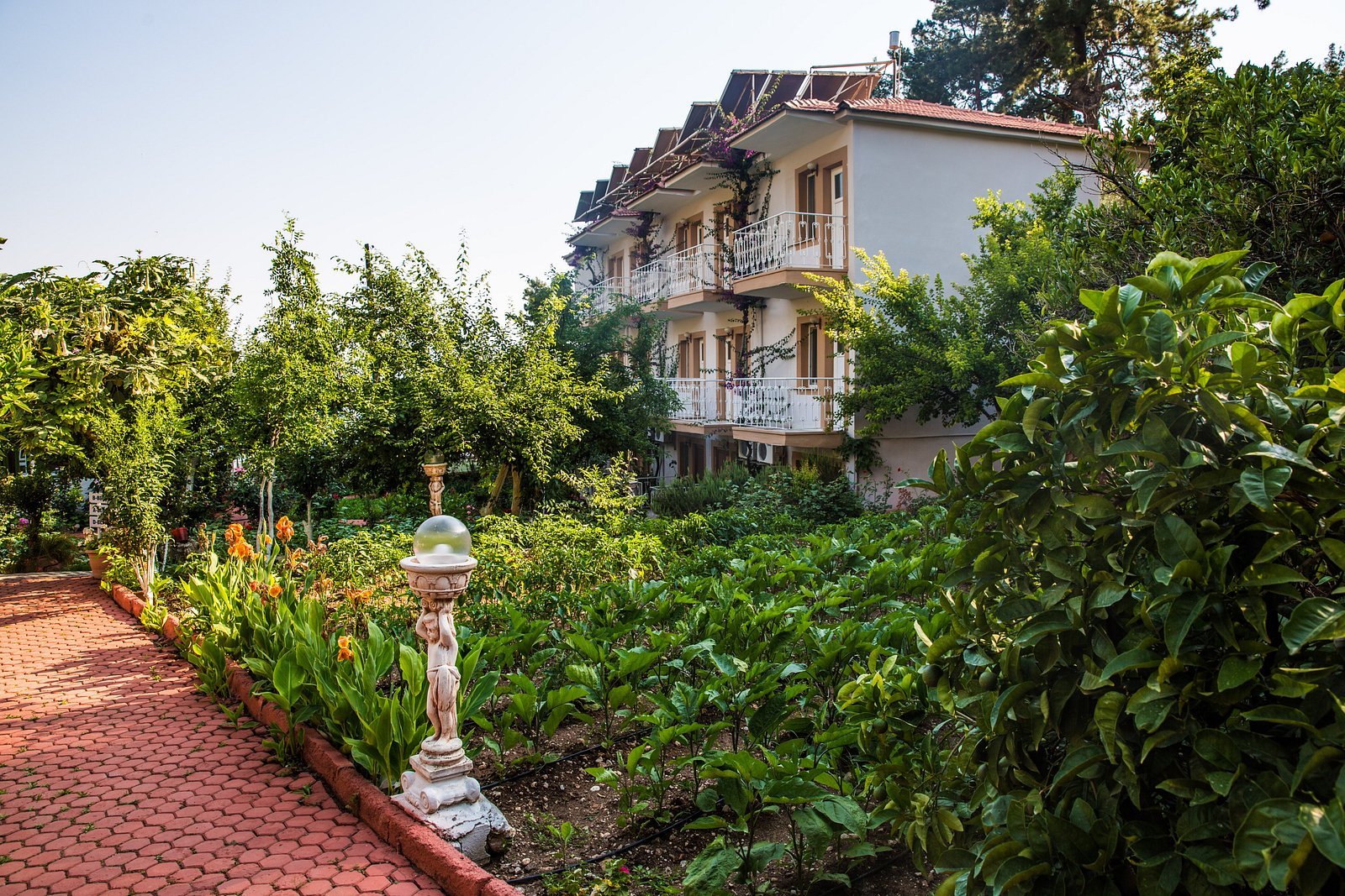 Oludeniz Manzara Hotel photo 5