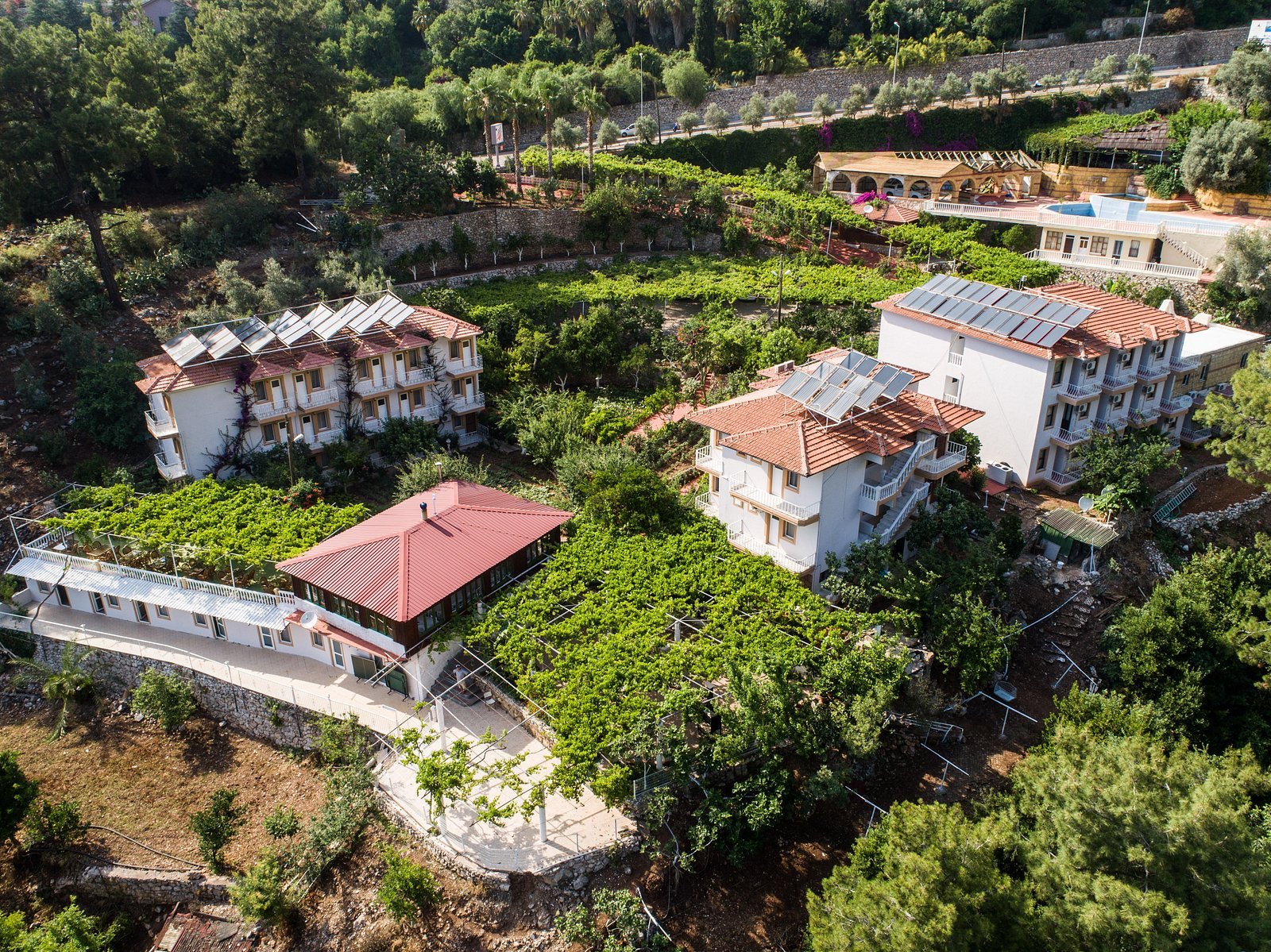 Oludeniz Manzara Hotel photo 6