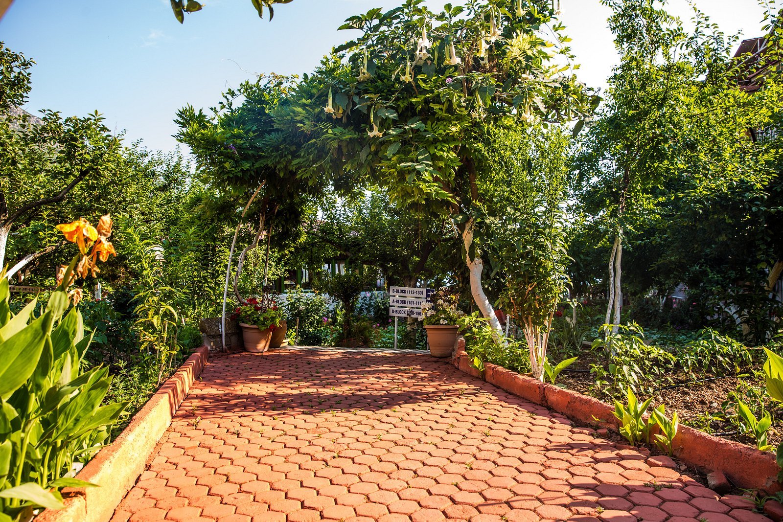 Oludeniz Manzara Hotel photo 13