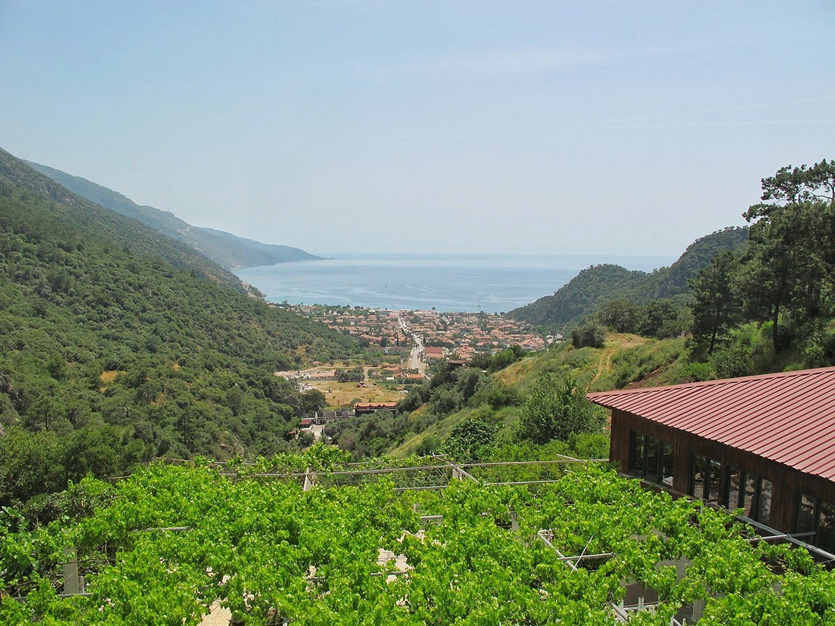 Oludeniz Manzara Hotel photo 14