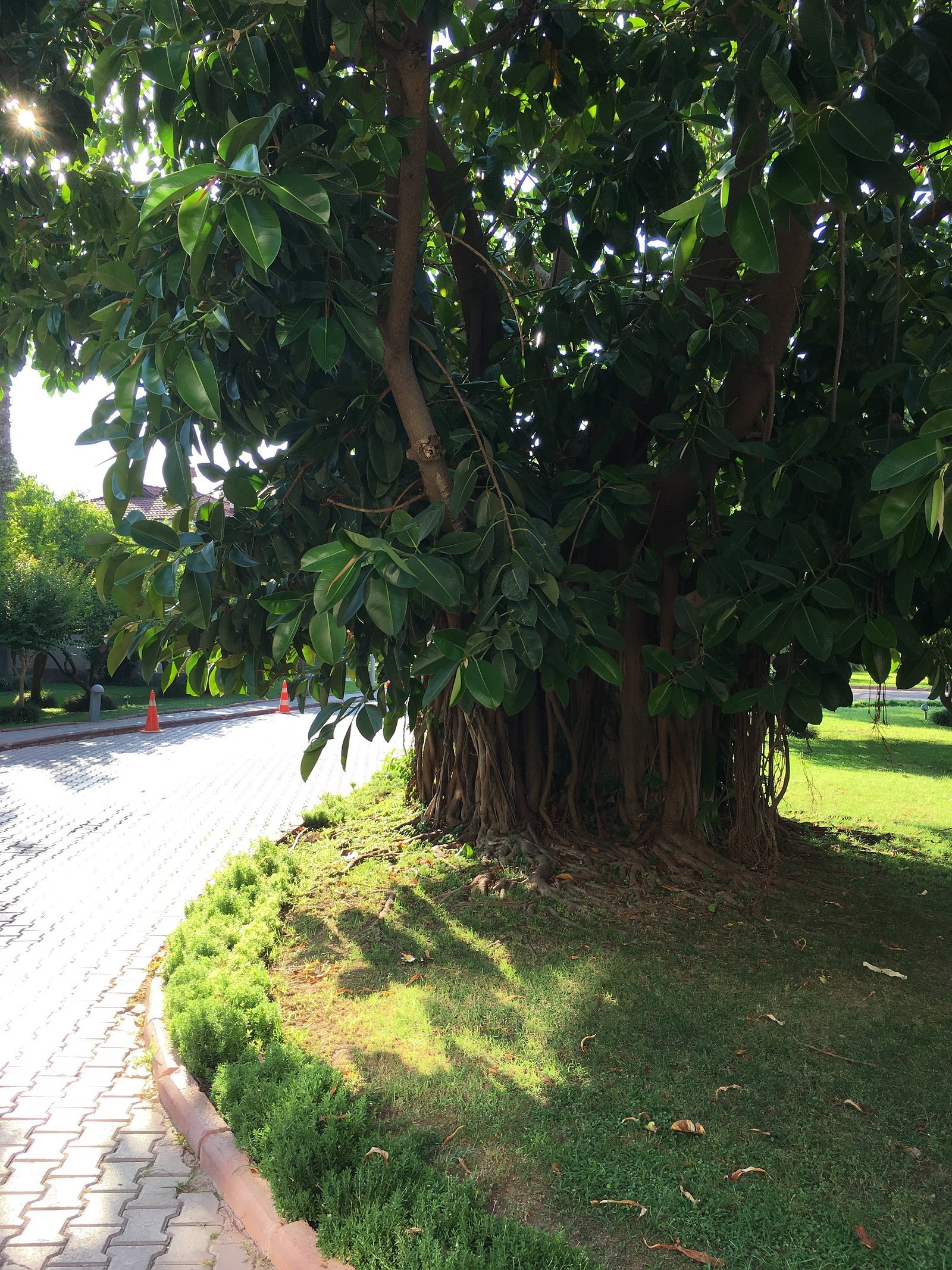 AKKA Hotels Alinda photo 3