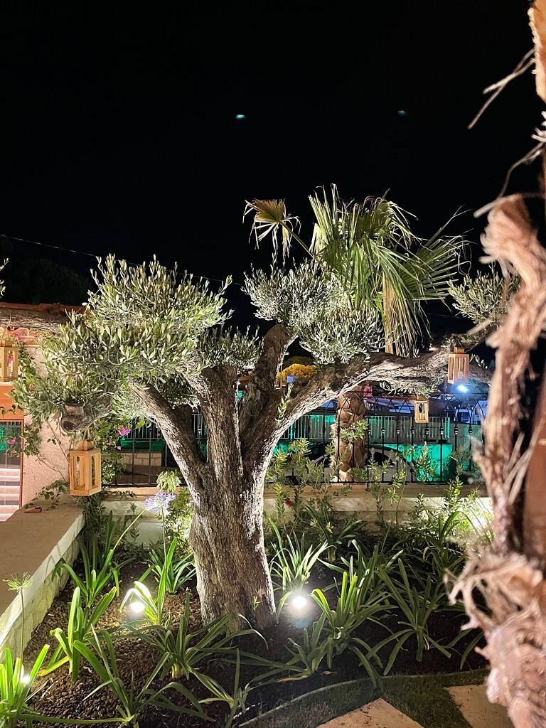 Alacati Molino Hotel — Alacati, Çeşme