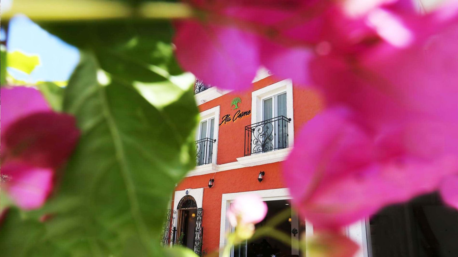 Ata Çeşme Otel photo 2