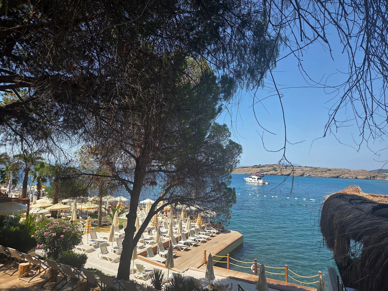 Bodrum View Resort photo 7