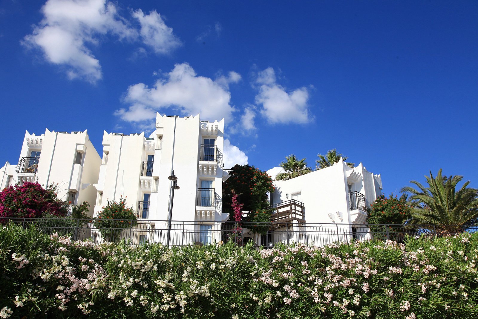 Bodrum View Resort photo 2