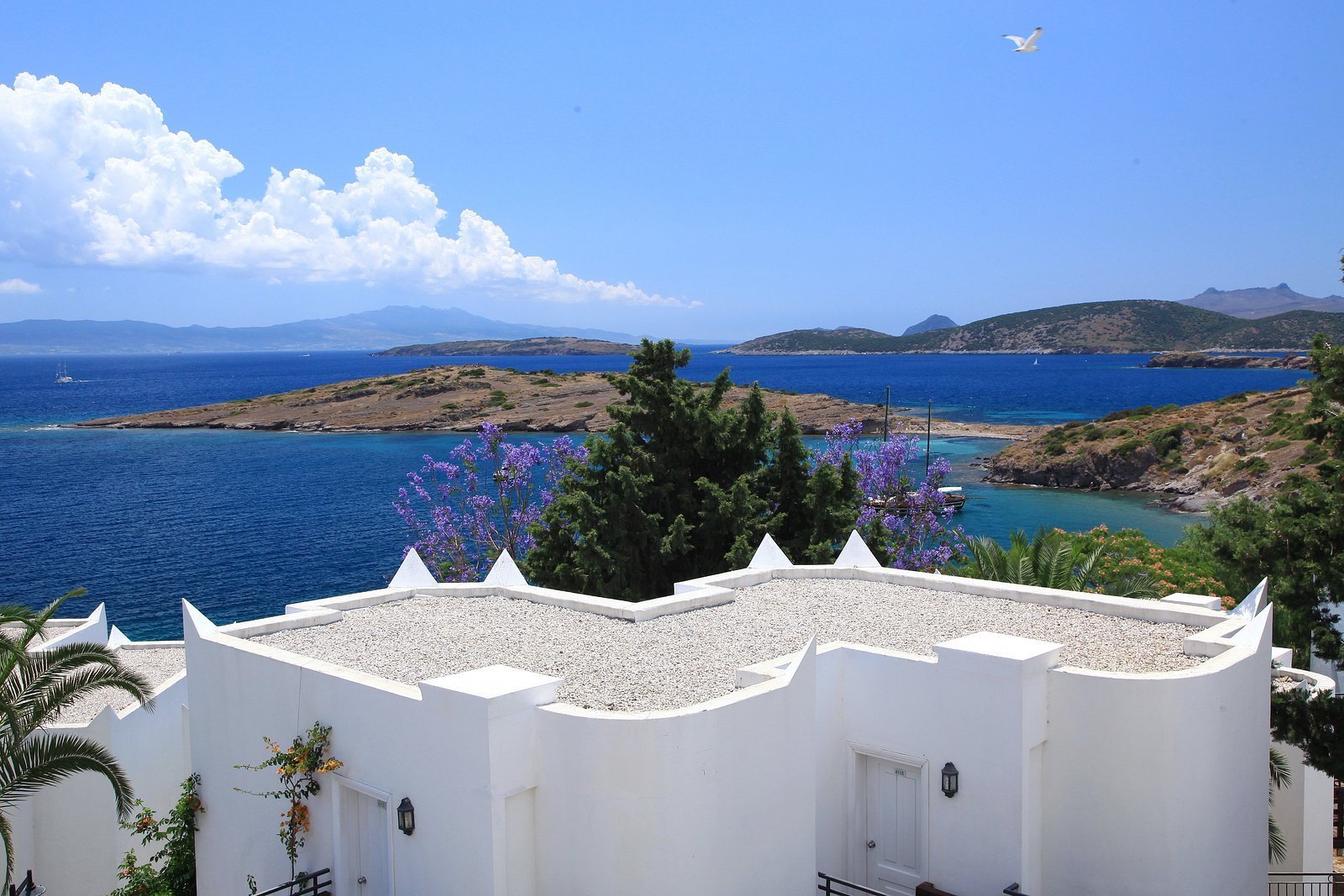 Bodrum View Resort photo 3