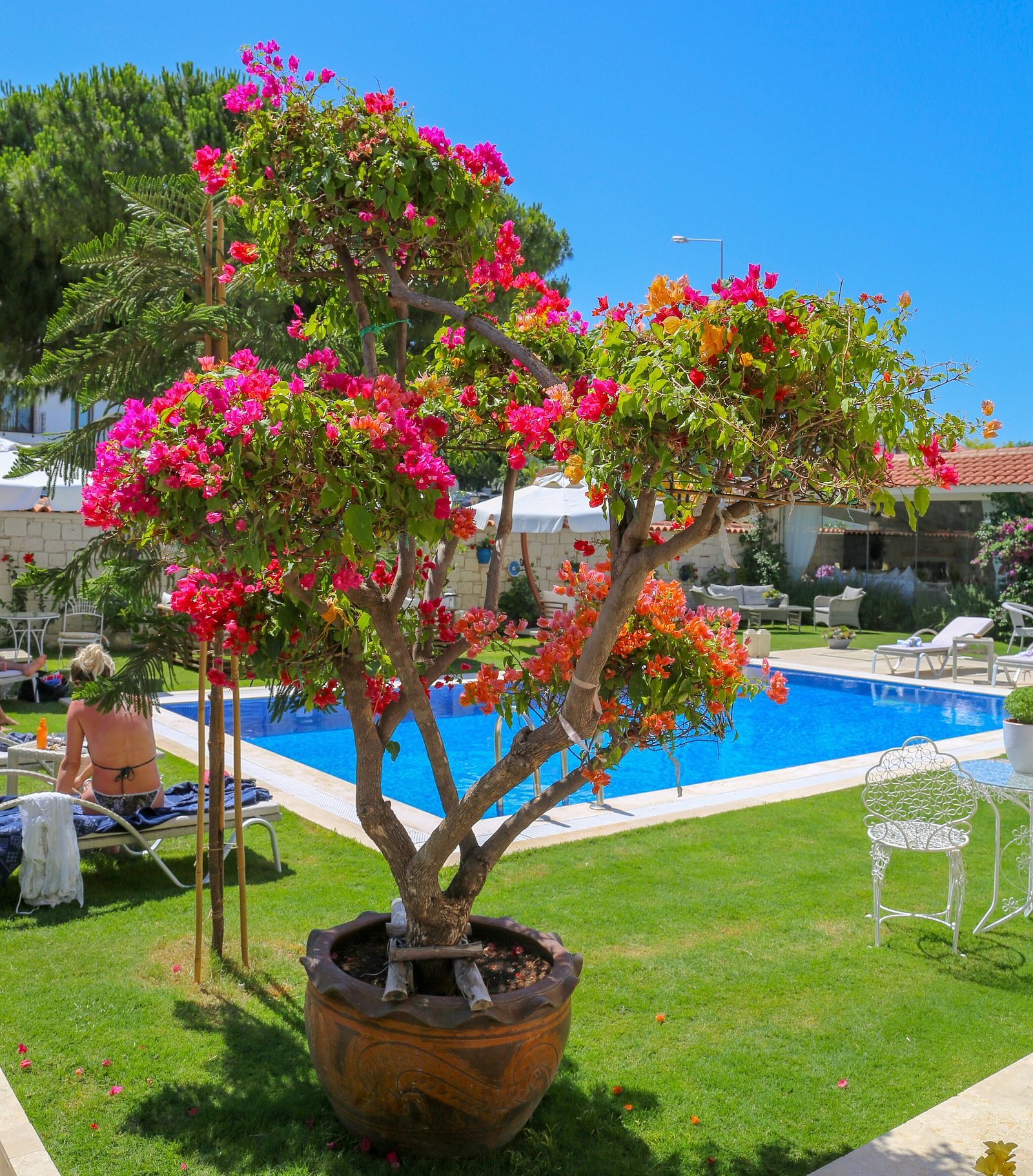 Salbakos Herakleia Boutique Hotel photo 13