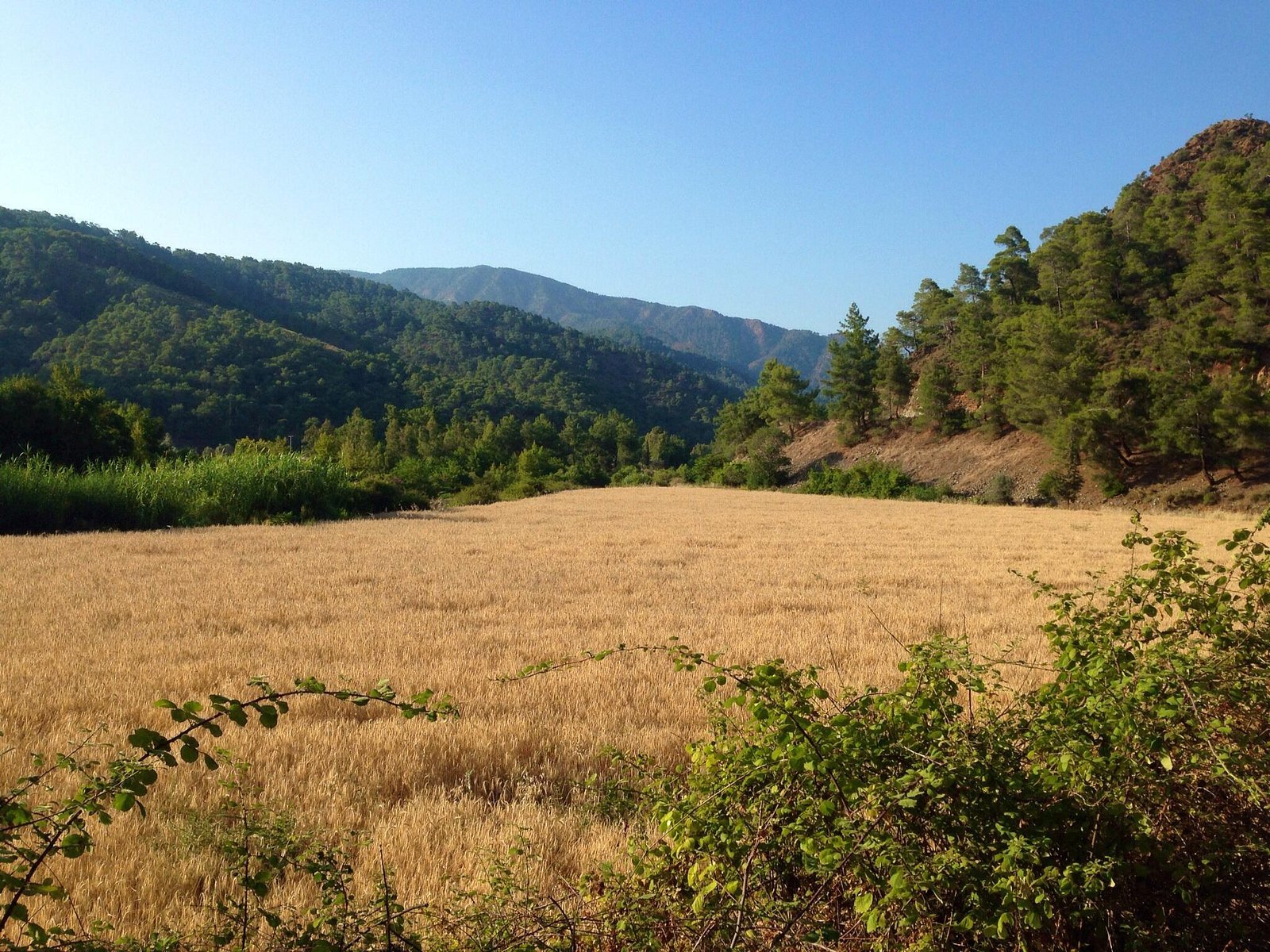 Pastoral Vadi photo 4