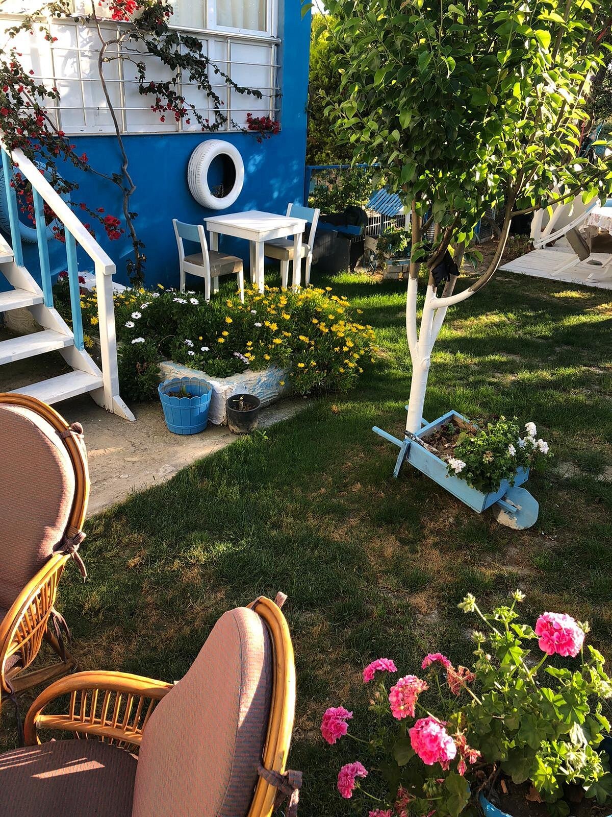 Hotel Antonio Cesme & Koy Kahvaltisi photo 4