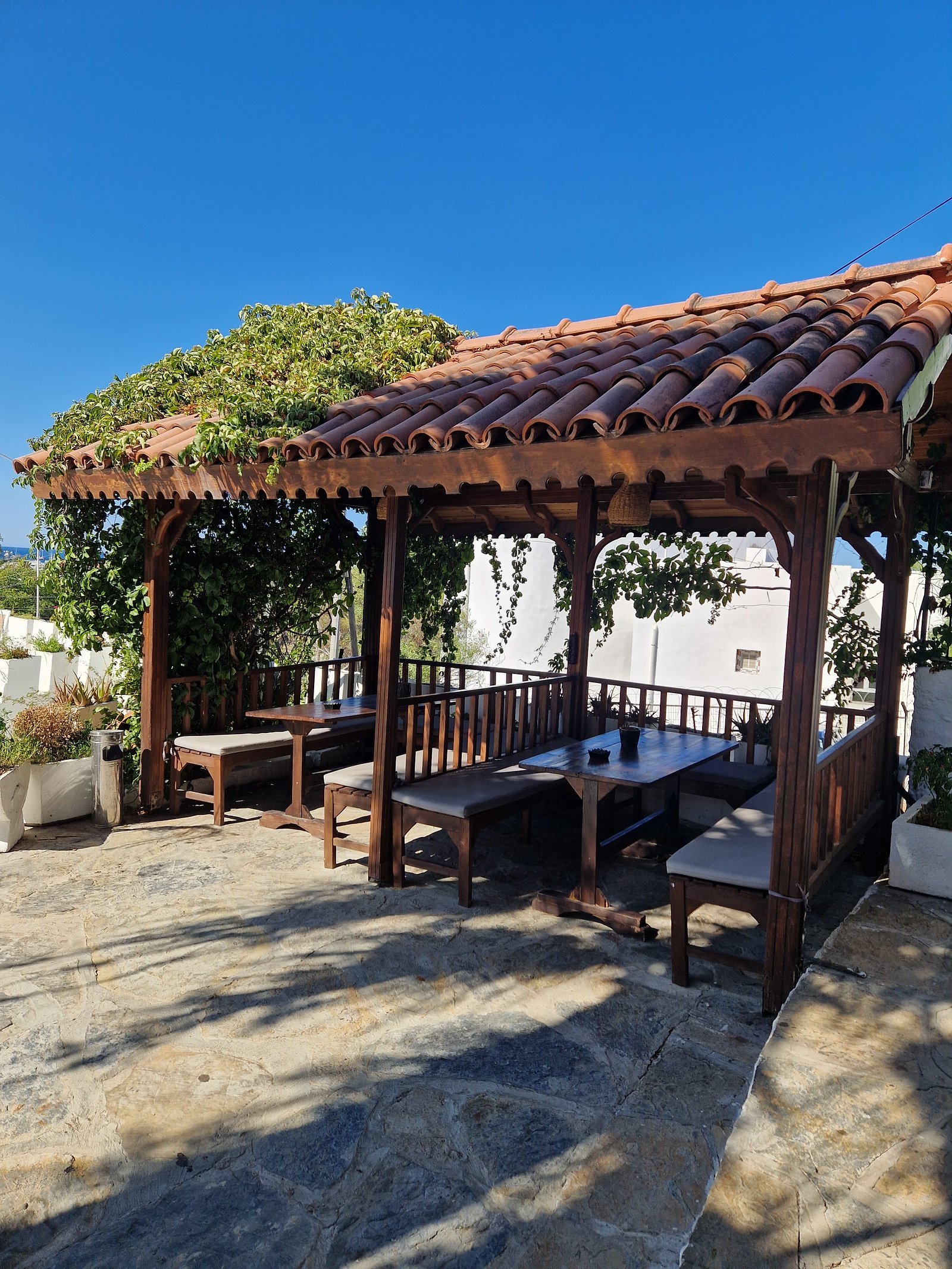 Bodrum Vera Hotel photo 4