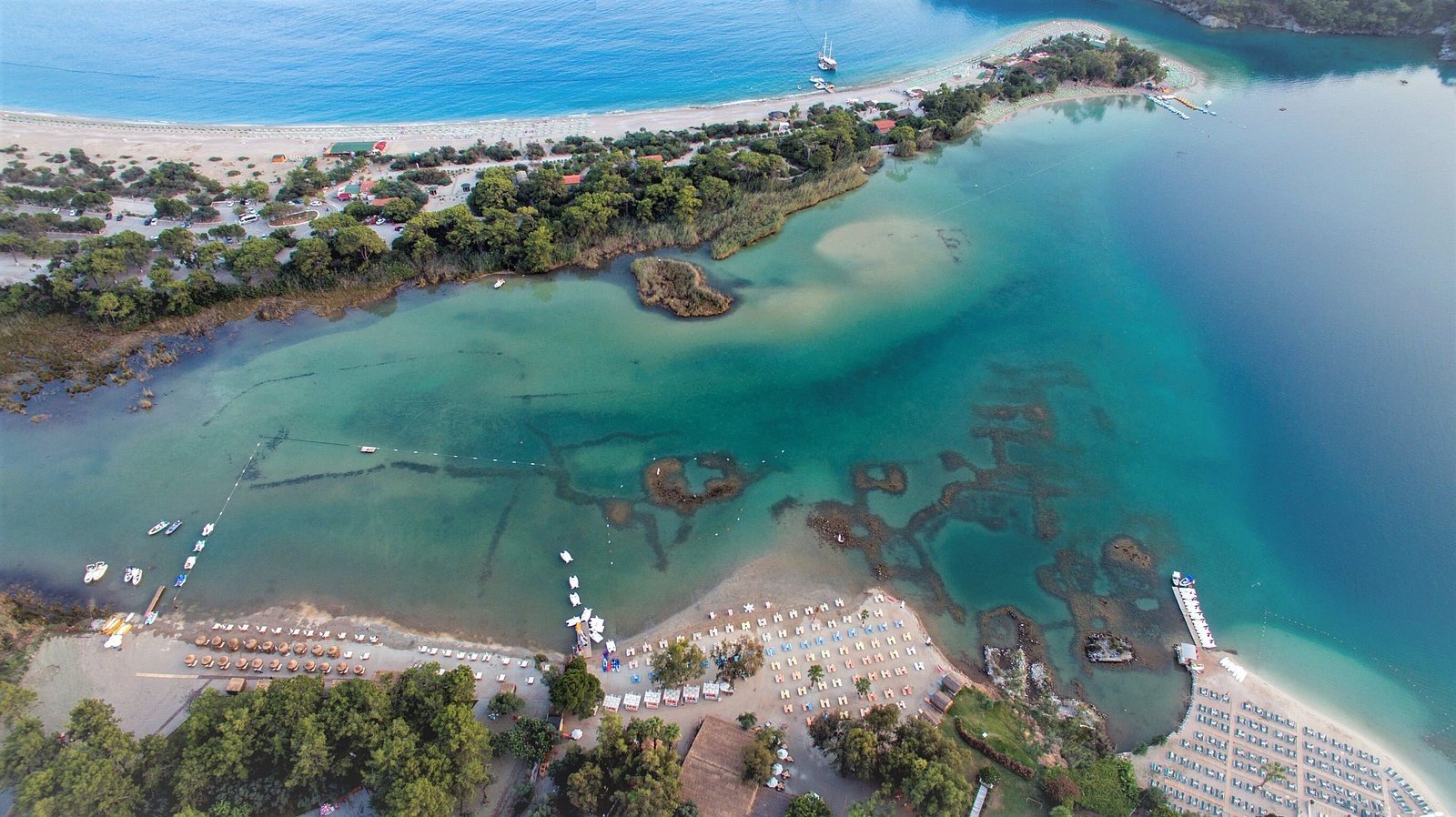 Sugar Beach Club photo 9