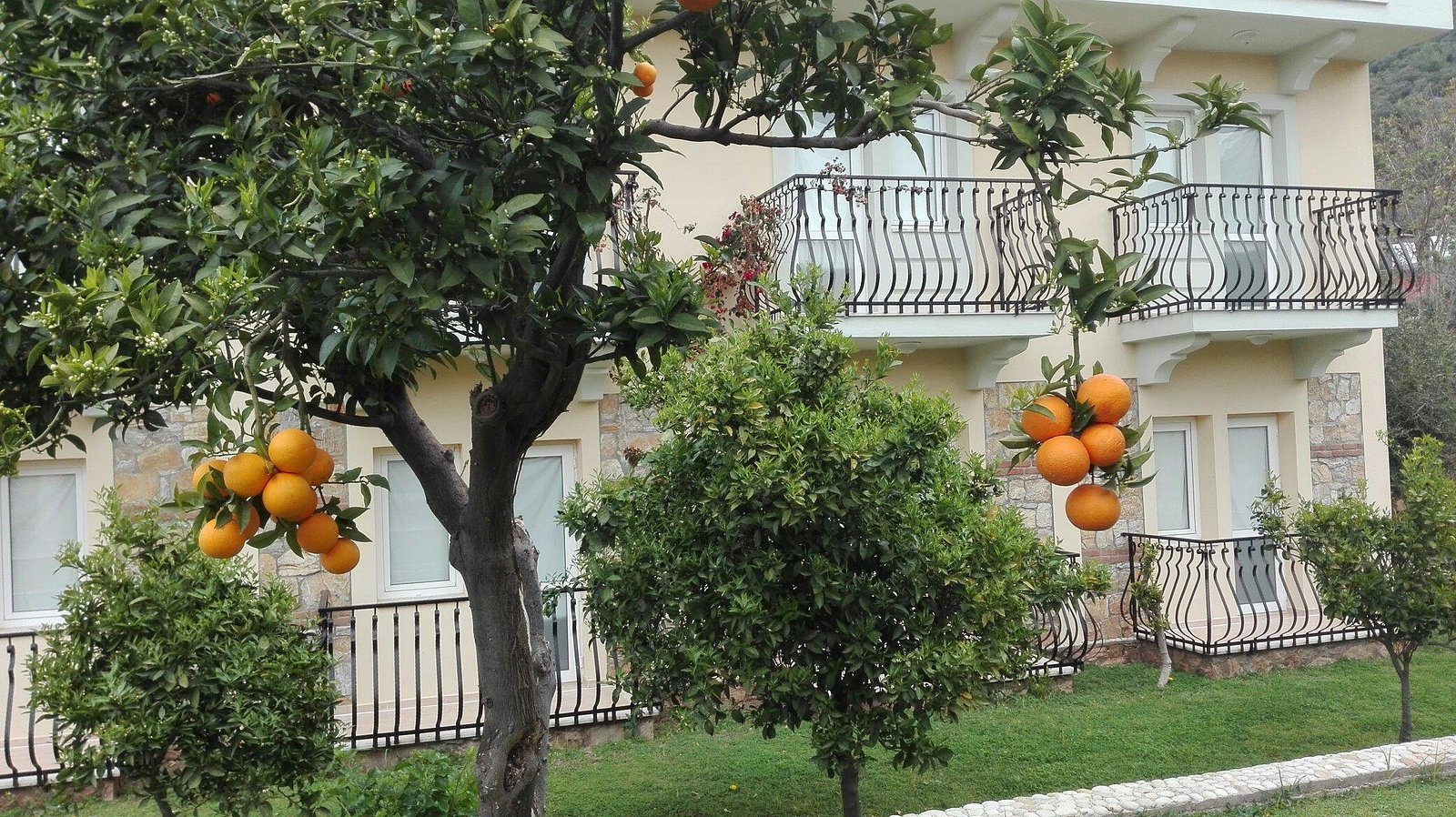 Mavruka Hotel photo 4