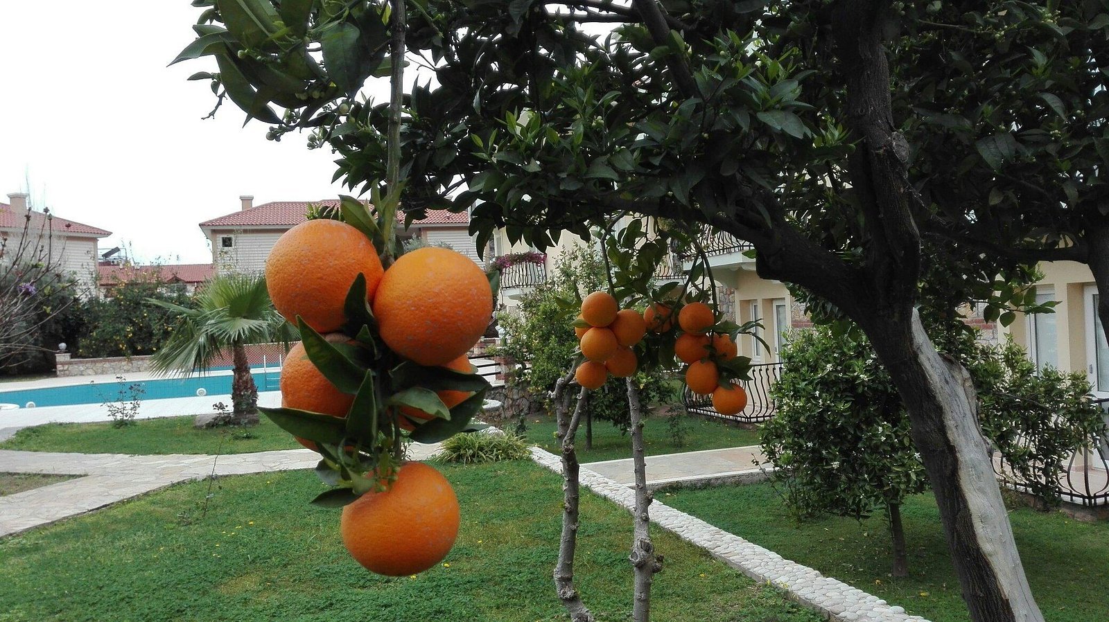 Mavruka Hotel photo 6