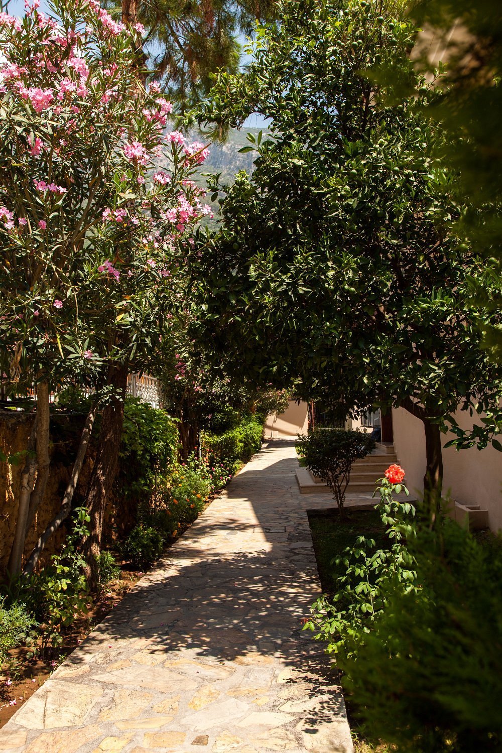 Ata Lagoon Beach Hotel photo 3