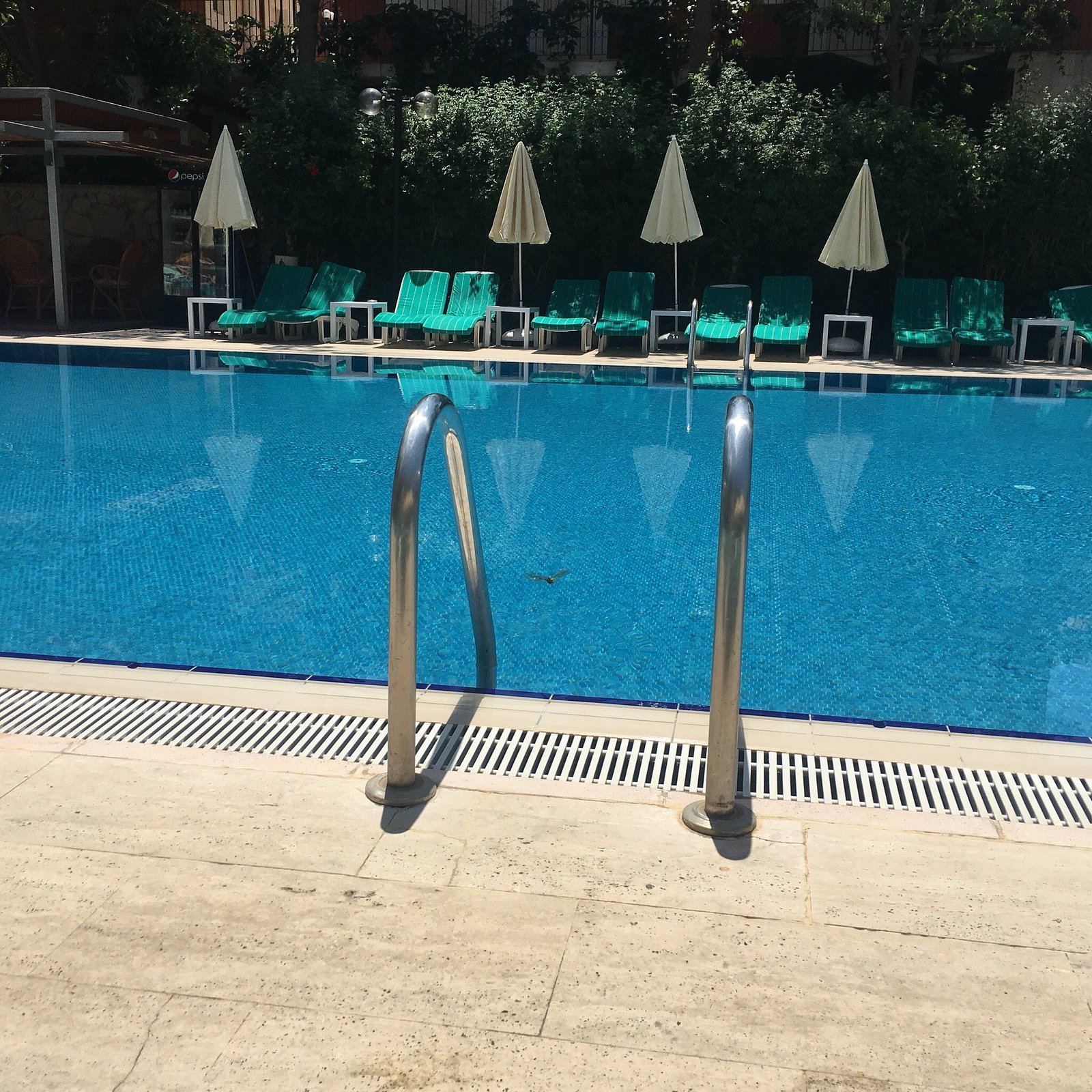 Perdikia Beach Hotel photo 18