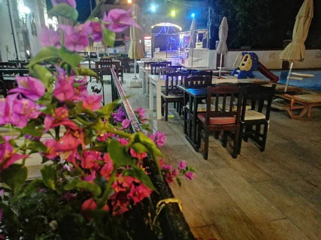Gloria Tibi Gumbet Hotel photo 3