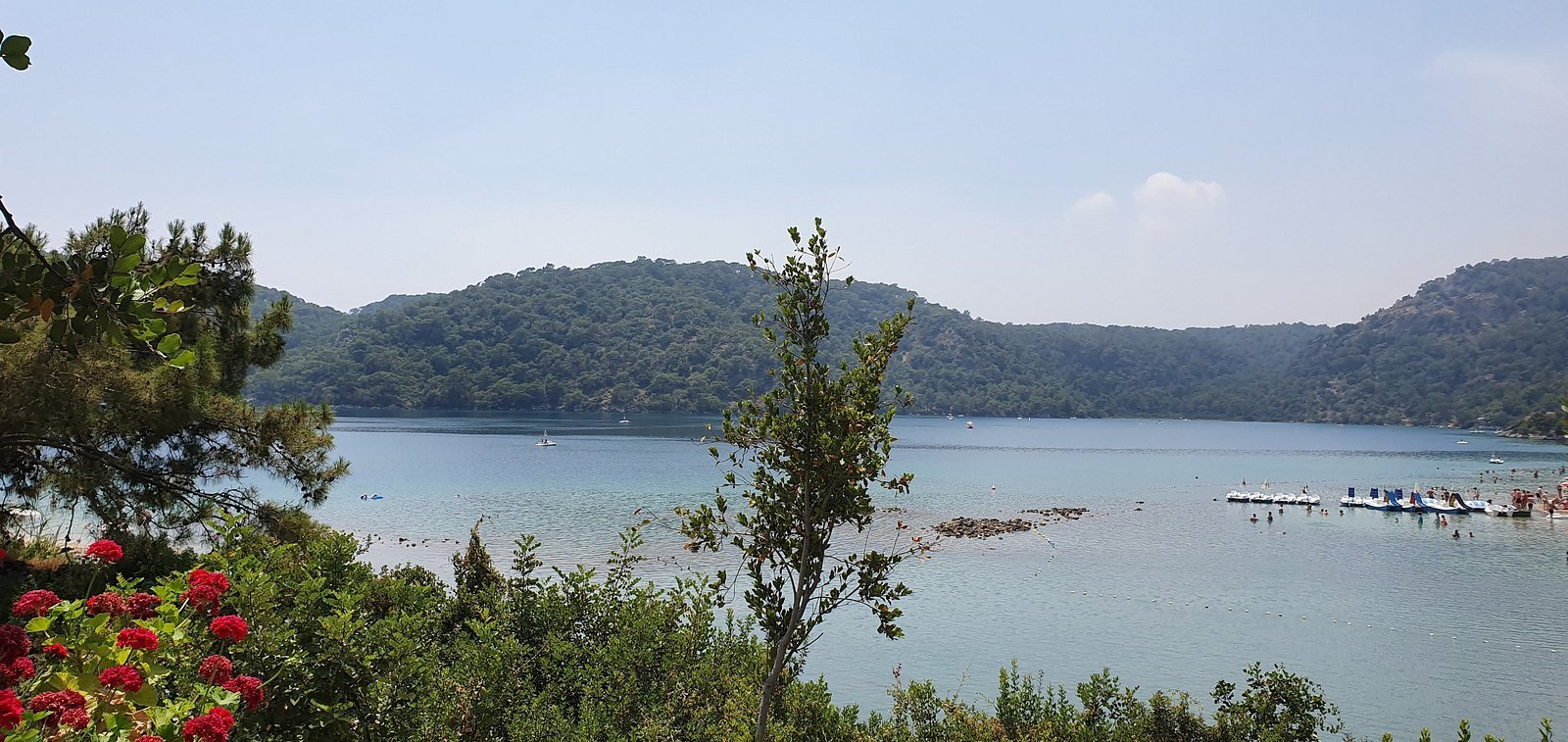 Sea Horse Beach Club photo 8