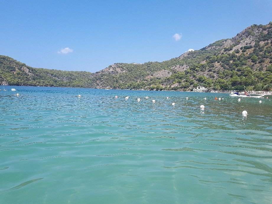 Sea Horse Beach Club photo 9
