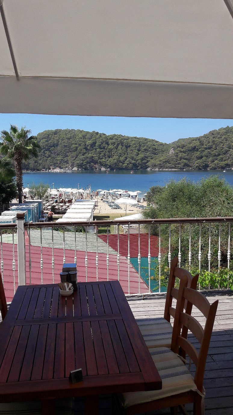 Sea Horse Beach Club photo 11