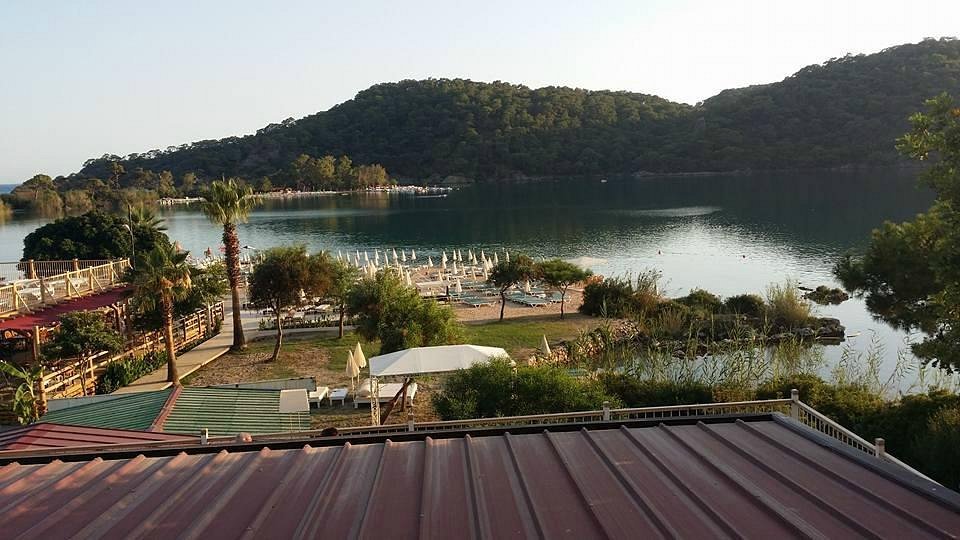 Sea Horse Beach Club photo 4