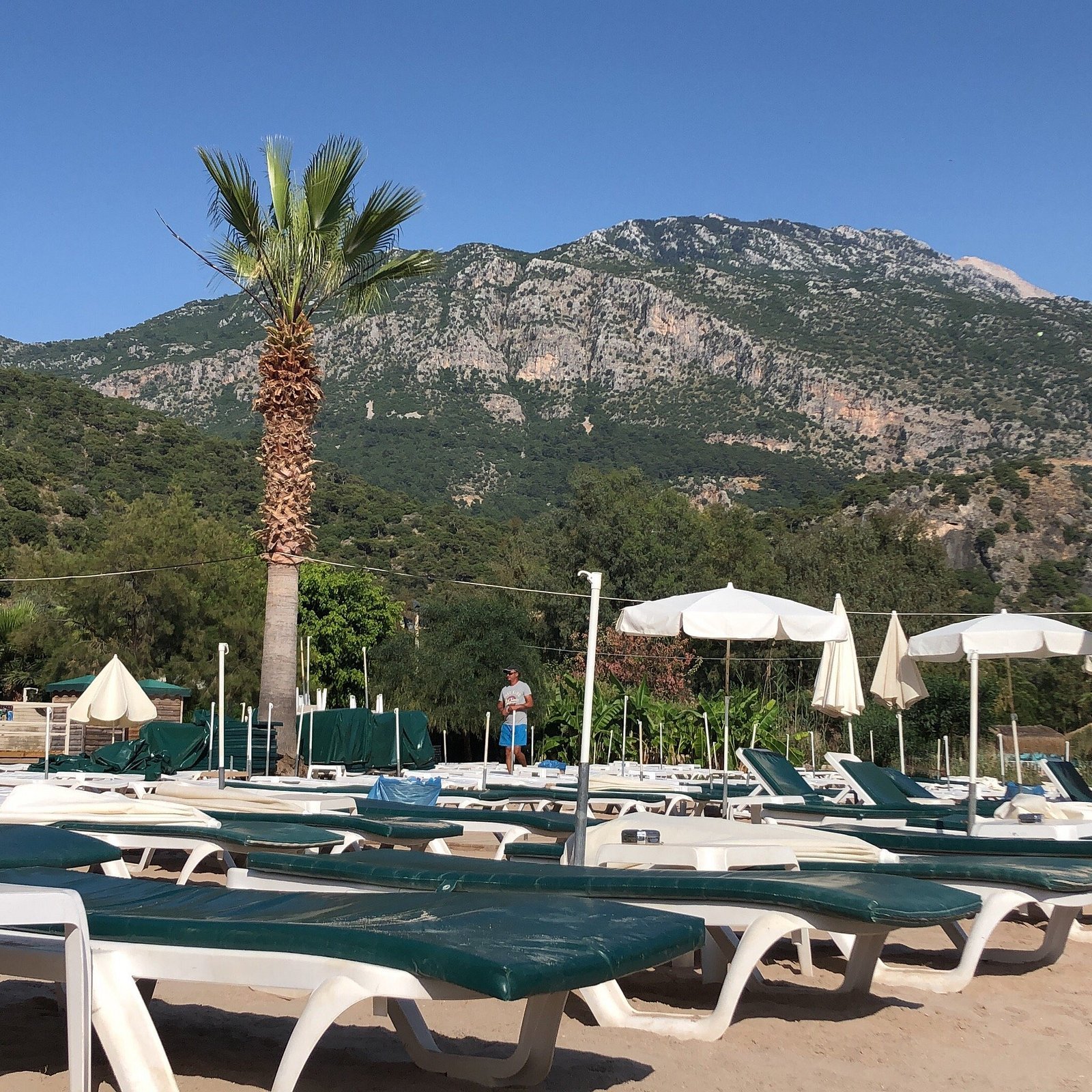 Sea Horse Beach Club photo 2