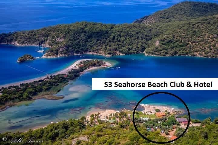 Sea Horse Beach Club photo 3