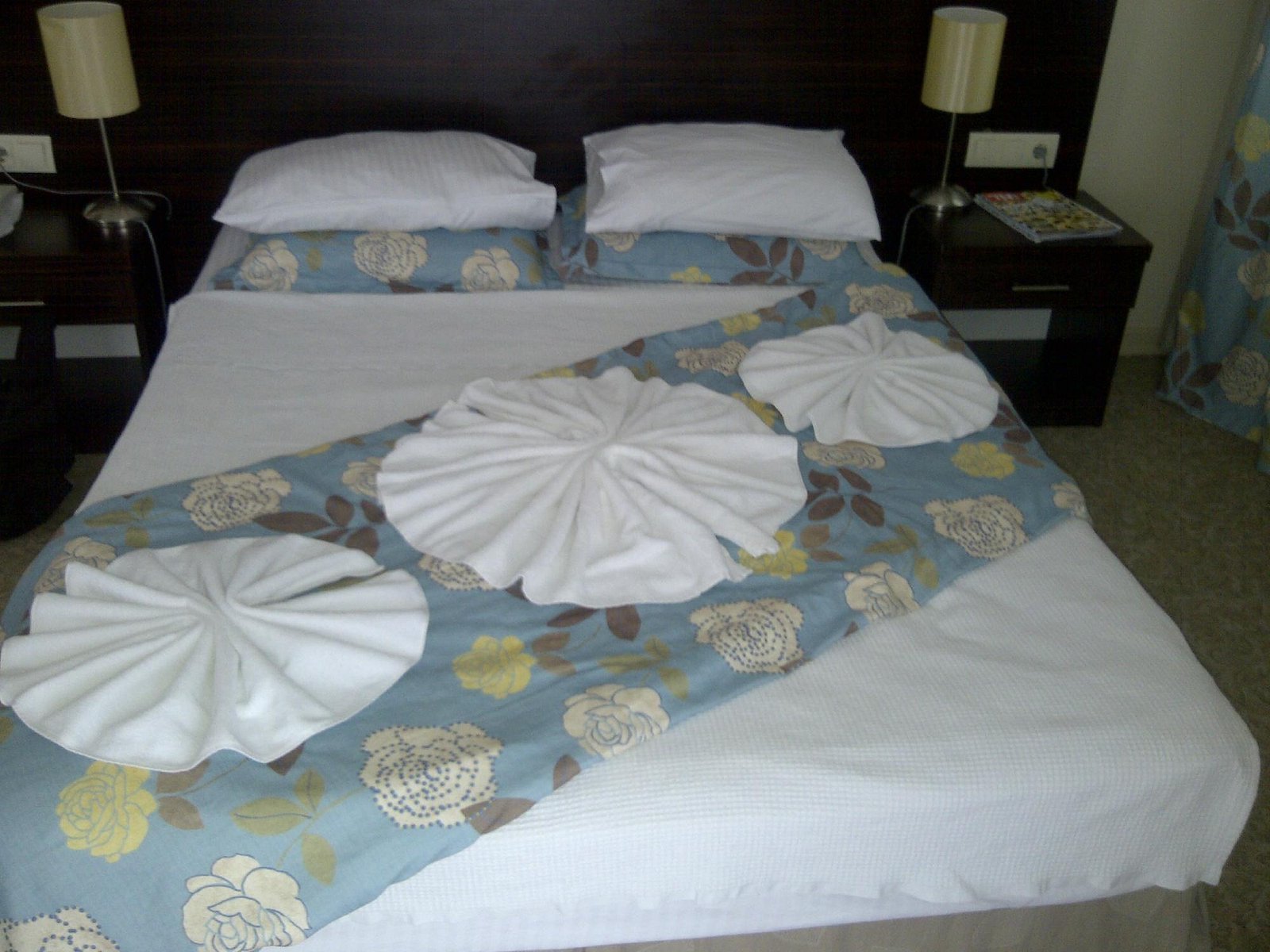 Nevada Hotel & Spa photo 12