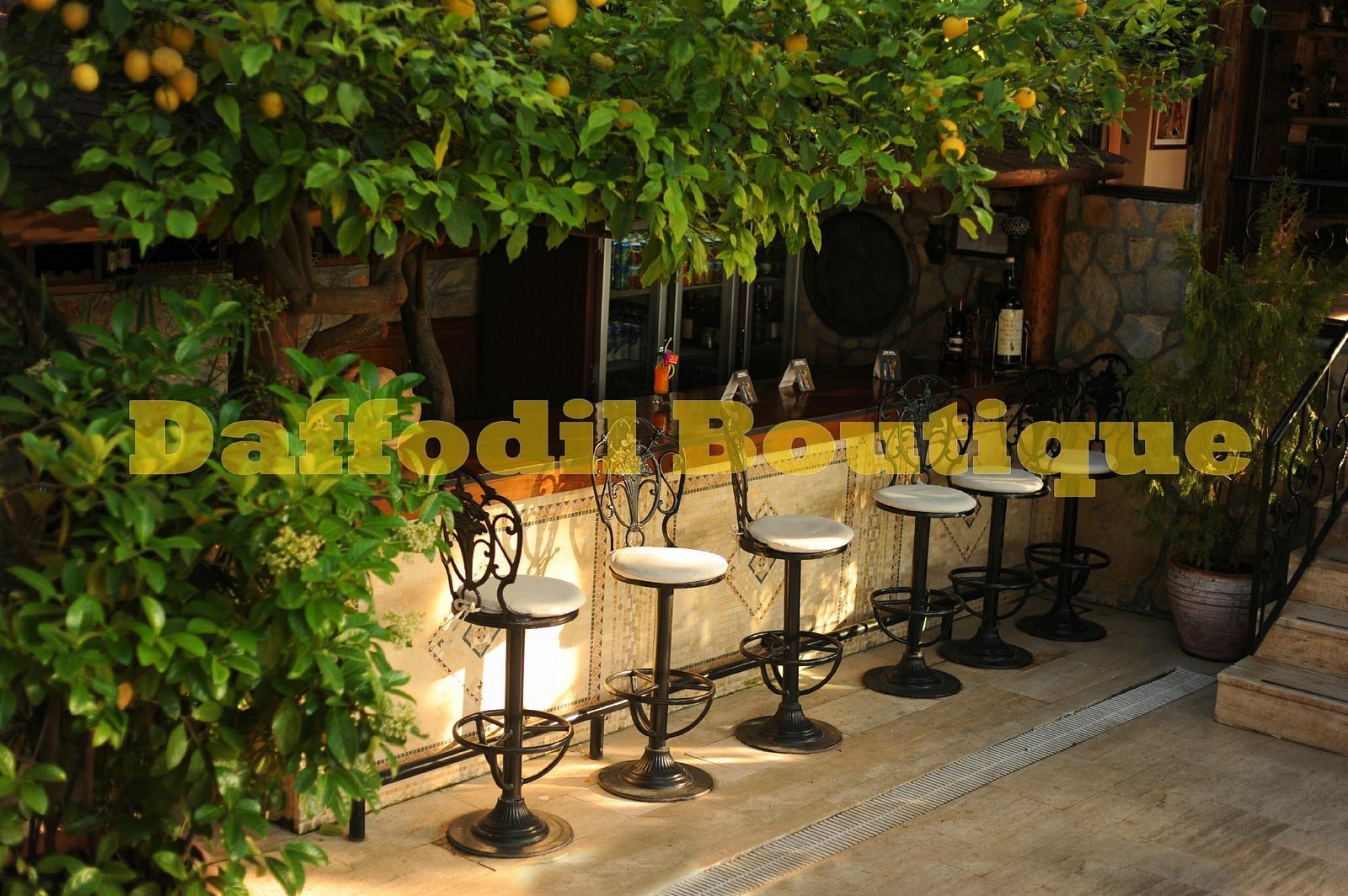 Hotel Villa Daffodil photo 6