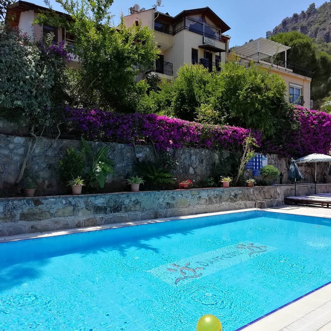 Hotel Villa Daffodil photo 9