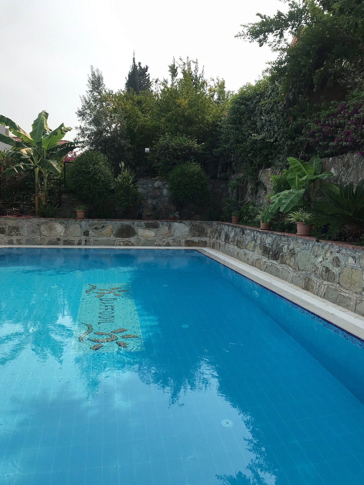 Hotel Villa Daffodil photo 10