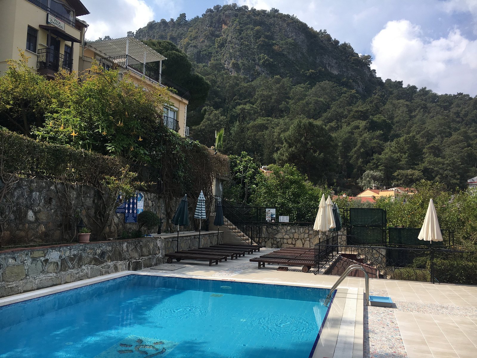 Hotel Villa Daffodil photo 11