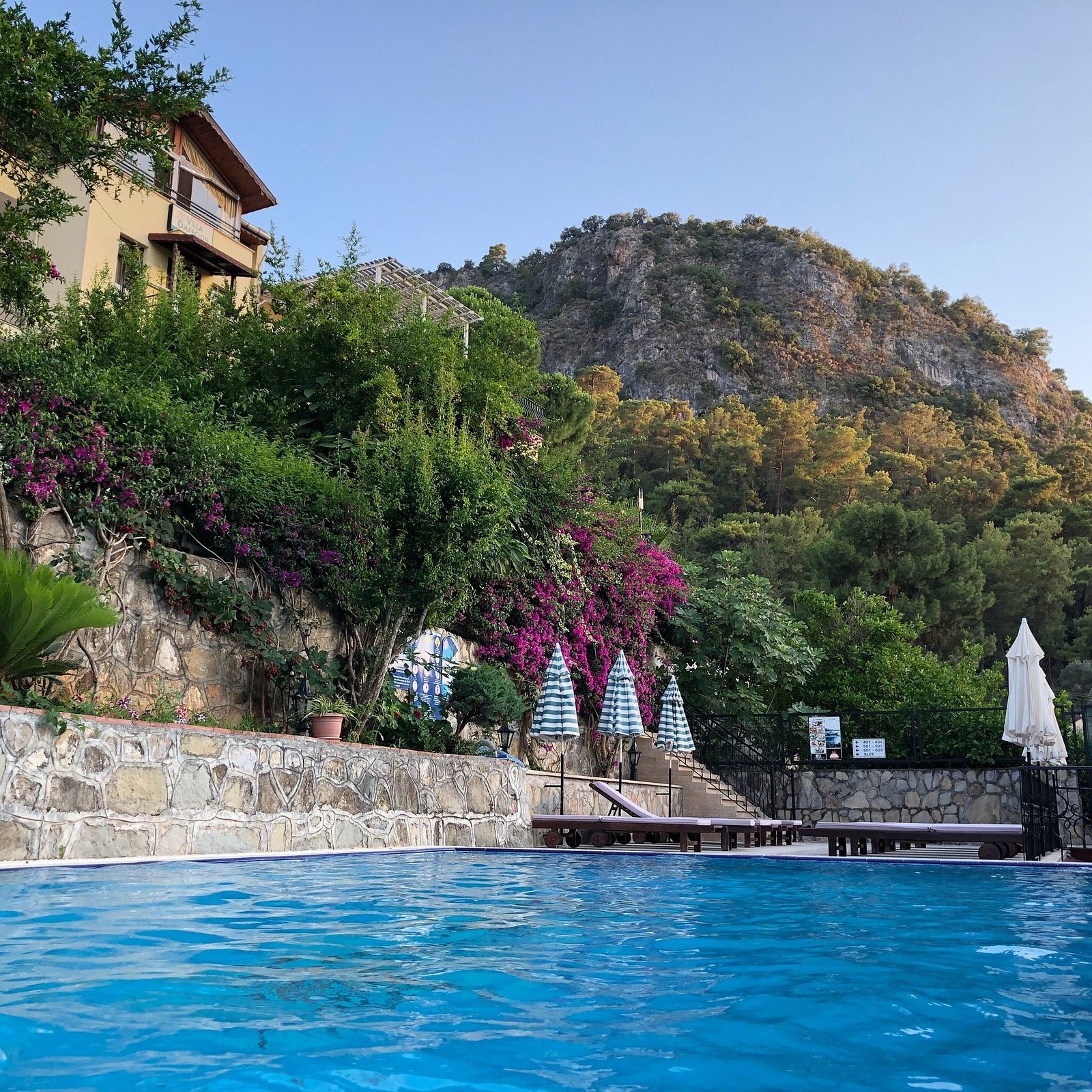 Hotel Villa Daffodil photo 12